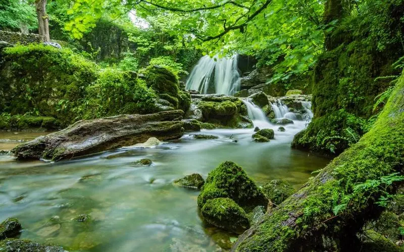 智慧智能高标准